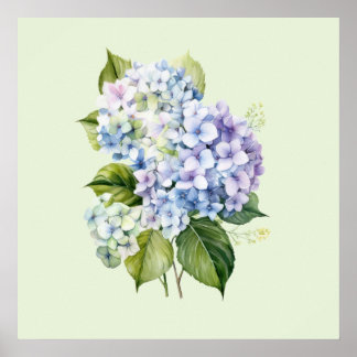 Poster Aquarela Botânica Floral Hydrangea