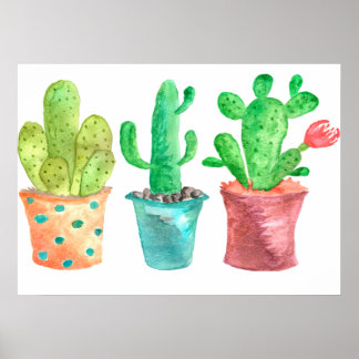 Póster Aquarela Cactus