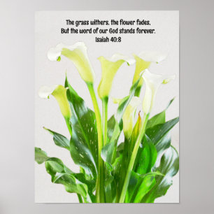 Poster Aquarela Calla Lily Flores Bíblia Arte Versa