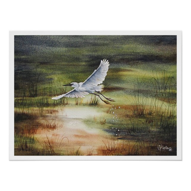 Póster Aquarela da Garça Branca (Frente)