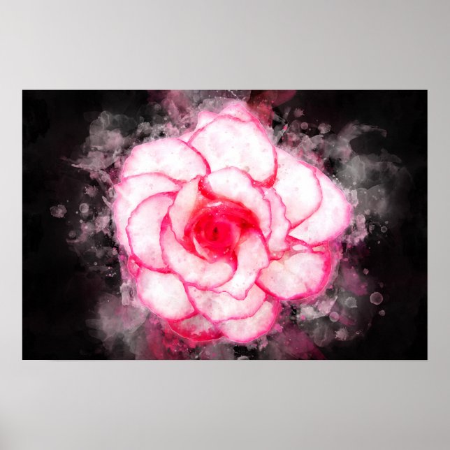 Poster Aquarela de flor de Begônia - bb1 (Frente)