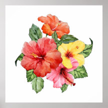 Aquarela de hibiscus
