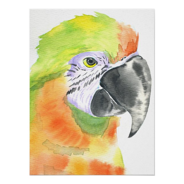 Póster Aquarela de papagaio (Frente)