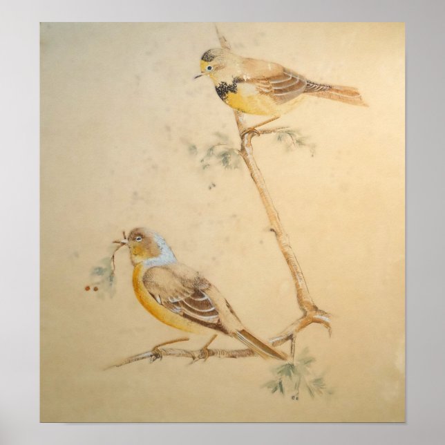 Poster Aquarela de Pássaro – Arte de Parede da Natureza (Frente)