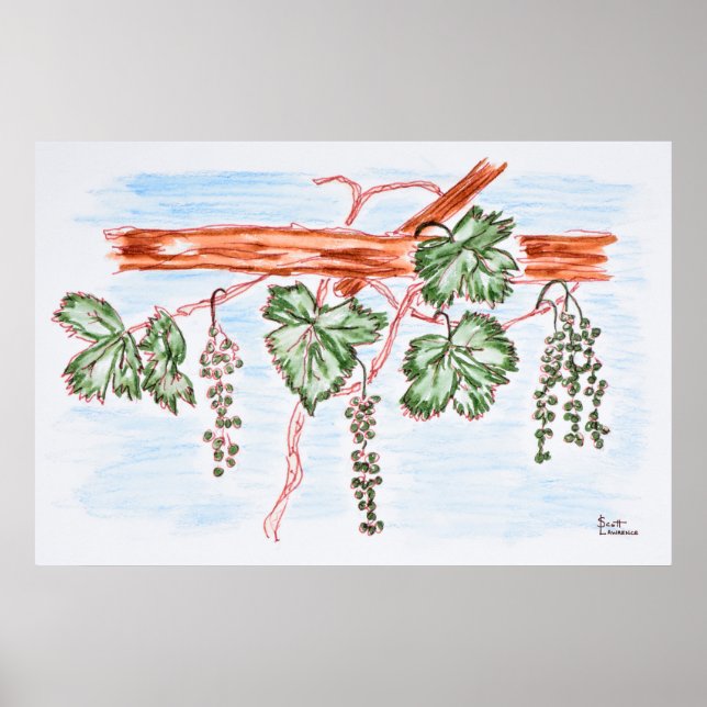 Póster Aquarela de Vinhas com Uvas | França (Frente)