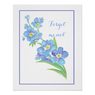 Póster Aquarela Esqueça-me, não flor, azul Bonito