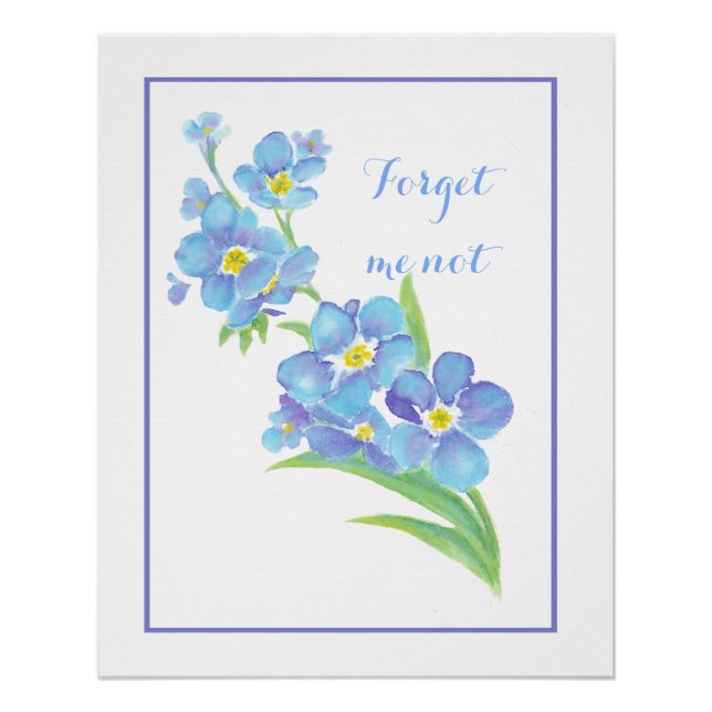 Póster Aquarela Esqueça-me, não flor, azul Bonito (Frente)