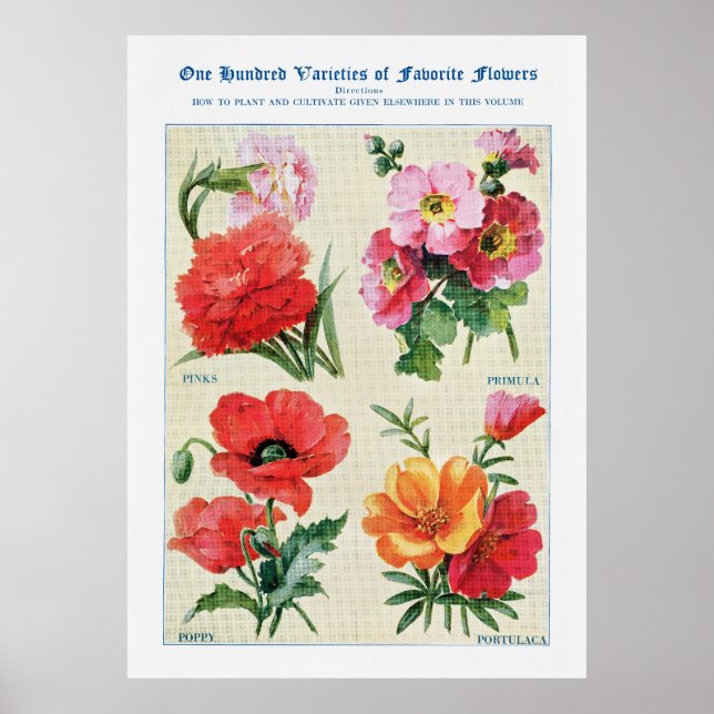 Poster Aquarela Flor 3 (Frente)