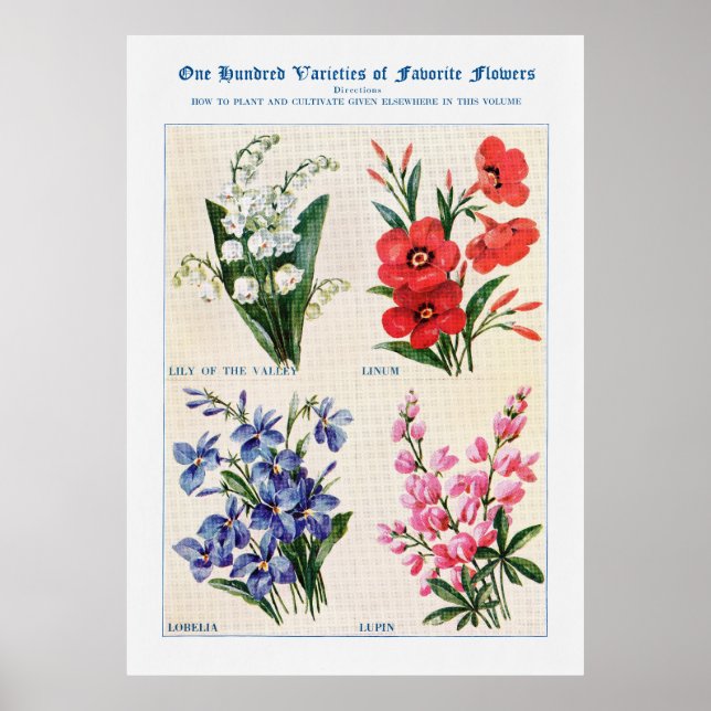 Poster Aquarela Flor 4 (Frente)