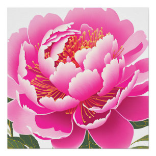 Póster Aquarela Floral Rosa