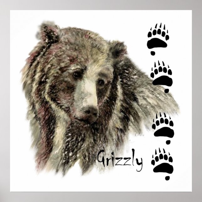 Poster Aquarela Grizzly Bear Natureza (Frente)