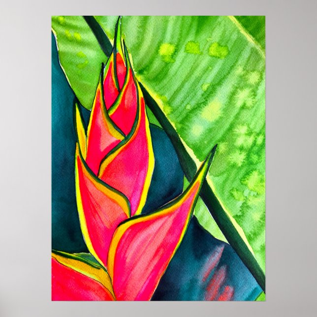 Poster Aquarela heliconia flor tropical (Frente)