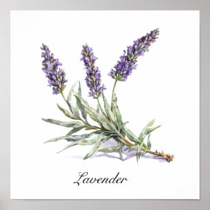 Poster Aquarela Lavanda Bem-Estar Botânico Personalizado