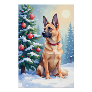 Póster Aquarela Malinois Belga Natal Evergreen