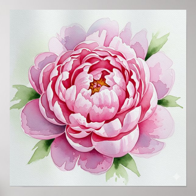 Poster Aquarela Peony (Frente)