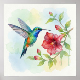 Poster Aquarela Pequeno Beija-flor