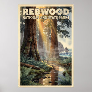Poster Aquarela Redwood National e State Parks Retro