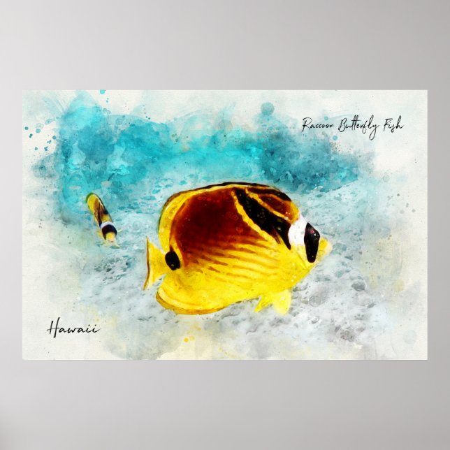 Poster Aquarelas tropicais havaianas - Peixes-borboletas (Frente)