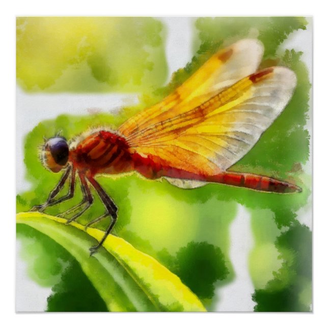 Póster Aquarelle, Libellule (Frente)