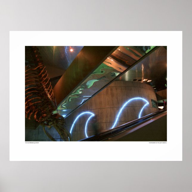 Póster Aquário de Baltimore (Frente)