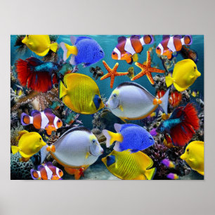 Poster aquário de pesca de peixes tropicais