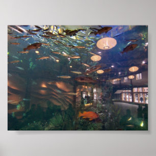 Póster Aquário de Seattle