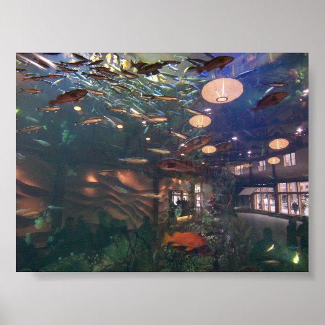 Póster Aquário de Seattle (Frente)