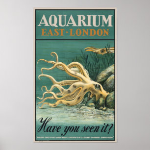 Póster Aquarium, East London- Octopus