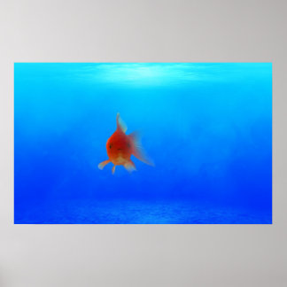 Poster aquático submarino