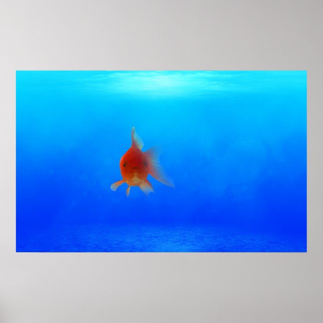 Poster aquático submarino (Frente)