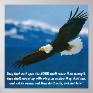 Póster Aqueles Que Esperam Pelo Senhor