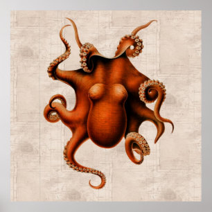 Poster Aqui Há Monstros