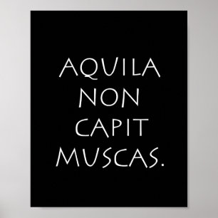 Poster Aquila non capit muscas