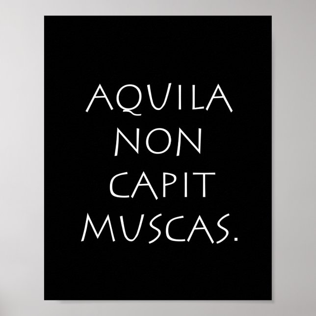 Poster Aquila non capit muscas (Frente)
