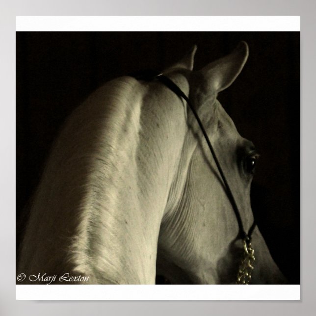 Póster árabe (Frente)