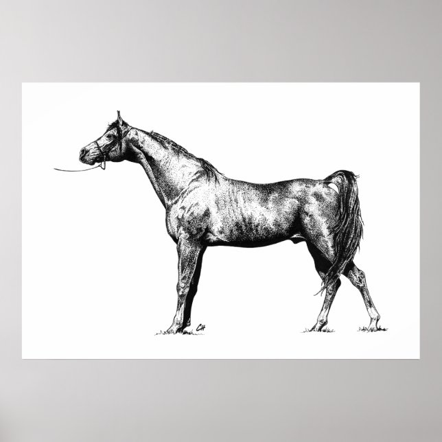 Póster Árabe em Caneta e tinta (Frente)