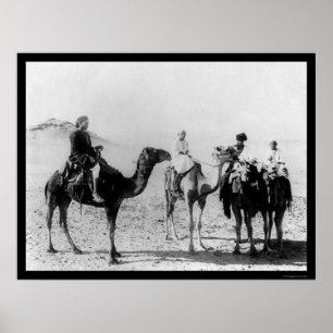 Póster Árabes em camelos no deserto de Sahara 1914
