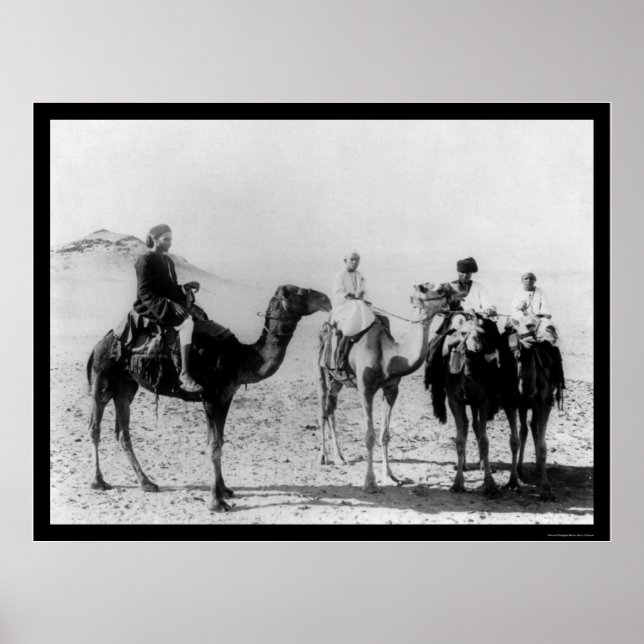 Póster Árabes em Camelos no Deserto do Saara 1914 (Frente)