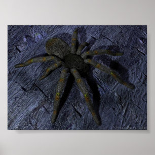 Poster Aranha