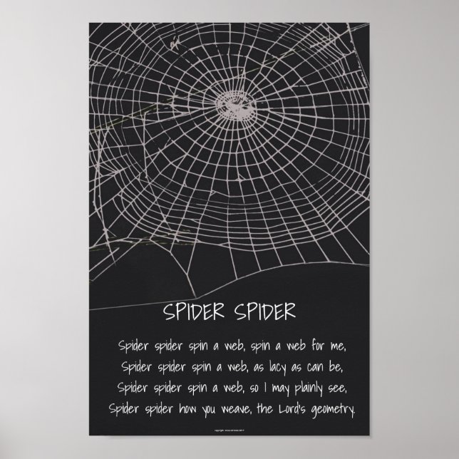 Poster Aranha-Aranha (Frente)