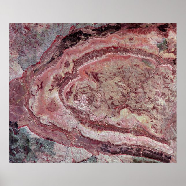 Póster Aranha-Aranha, Austrália Ocidental (Frente)