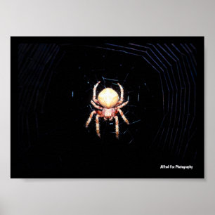 Poster Aranha de Rodas Laranja