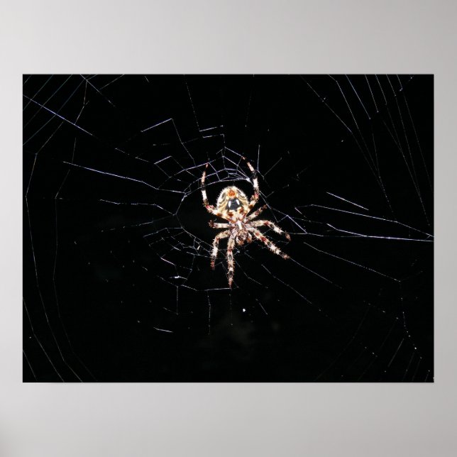 POSTER ARANHA NO ESCURO (Frente)