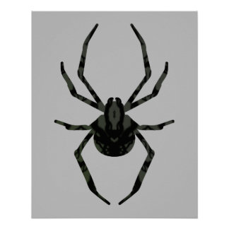Póster Aranha Simples e Antiga