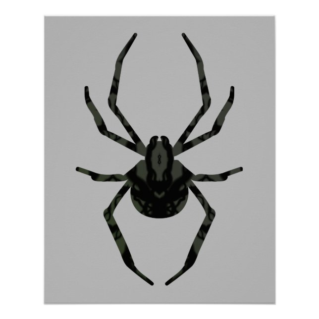 Póster Aranha Simples e Antiga (Frente)