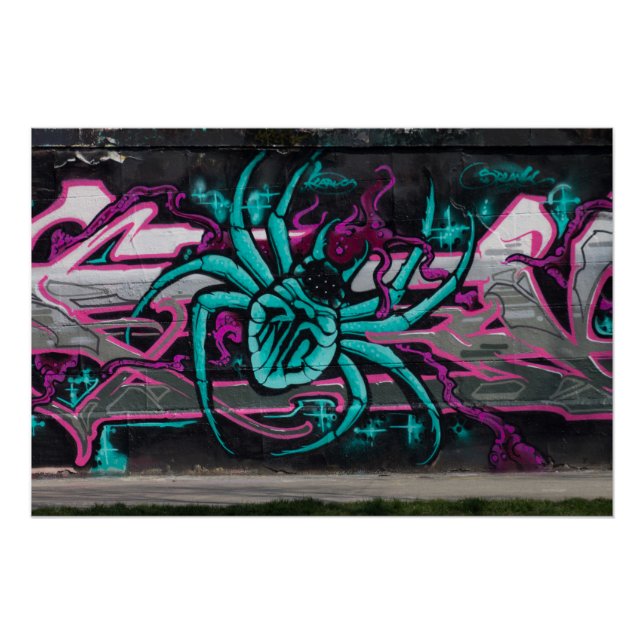 Póster Aranha Turquesa Molhada (Frente)