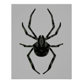 Póster Aranha Velha Comum