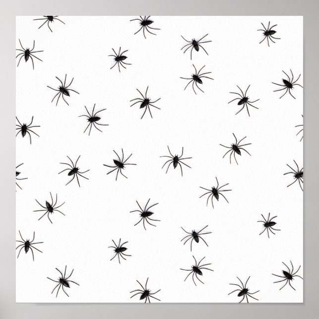 Póster Aranhas (Frente)