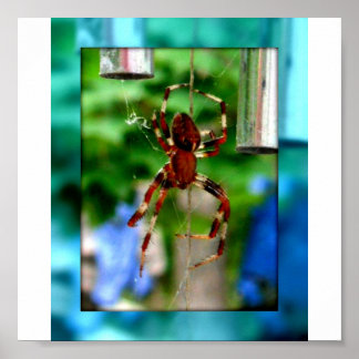 Póster aranhas