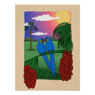 Póster Arara azul - Blue macaw